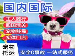 温州龙湾空运国际宠物托运 【国
